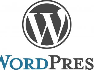 wordpress adalah blog